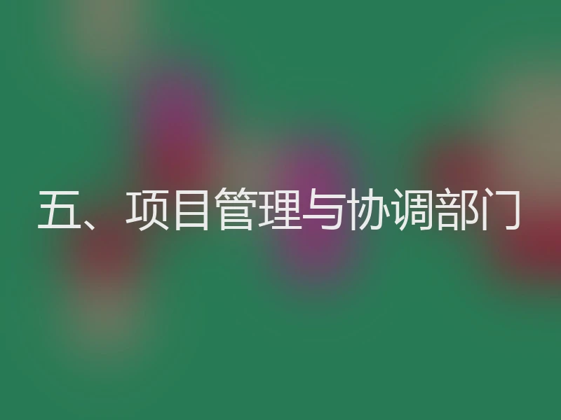 五、项目管理与协调部门