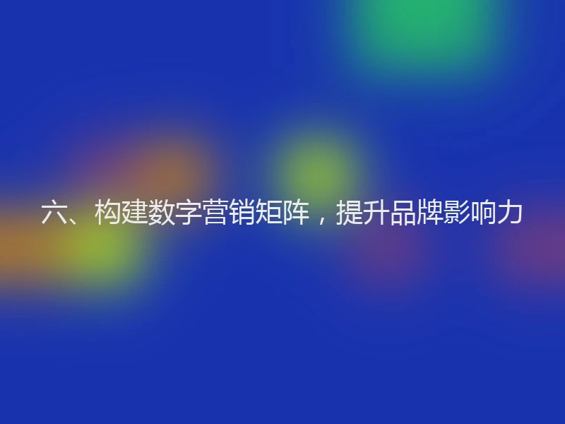六、构建数字营销矩阵，提升品牌影响力