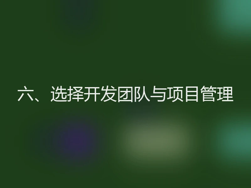 六、选择开发团队与项目管理