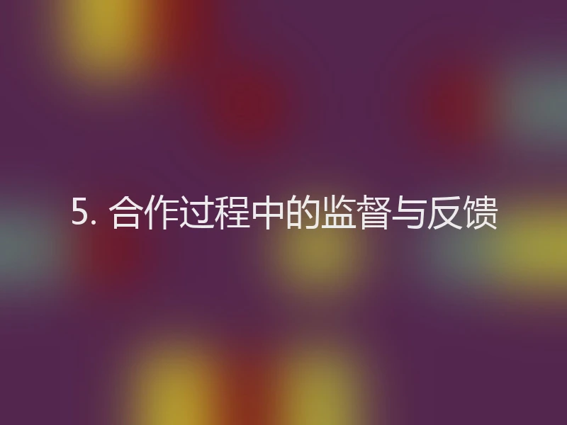 5. 合作过程中的监督与反馈
