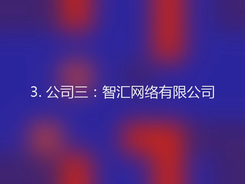 3. 公司三：智汇网络有限公司