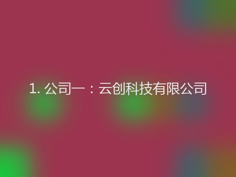 1. 公司一：云创科技有限公司