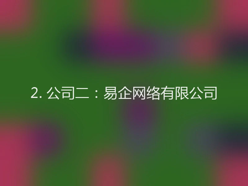2. 公司二：易企网络有限公司