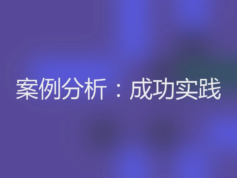 案例分析：成功实践