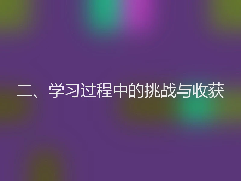 二、学习过程中的挑战与收获