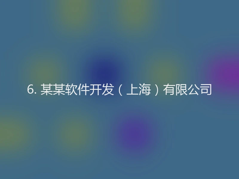 6. 某某软件开发（上海）有限公司