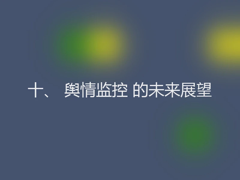 十、 舆情监控 的未来展望