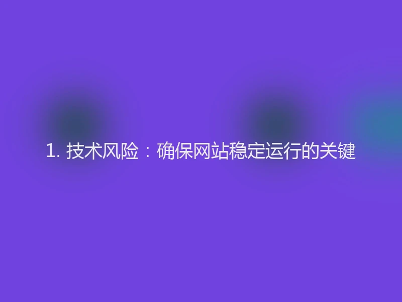 1. 技术风险：确保网站稳定运行的关键