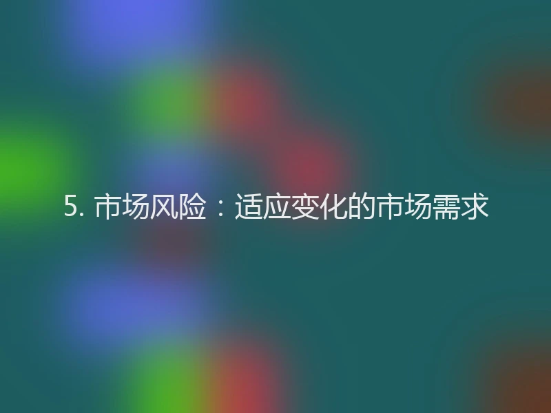 5. 市场风险：适应变化的市场需求