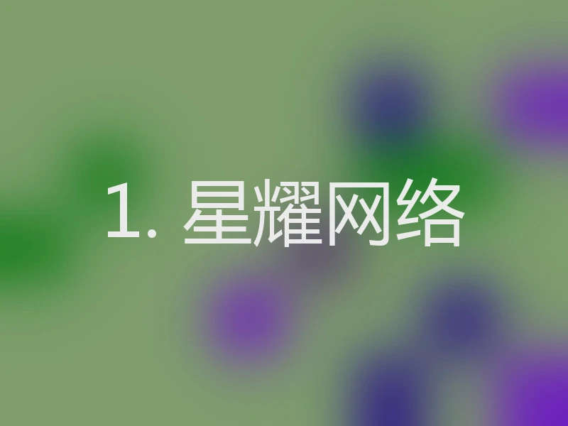 1. 星耀网络