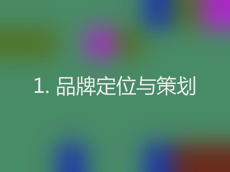 1. 品牌定位与策划