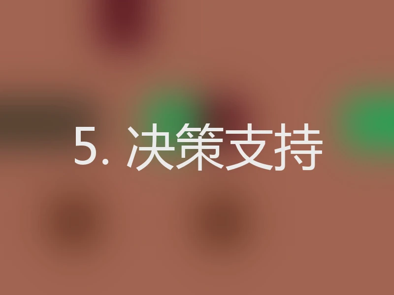 5. 决策支持