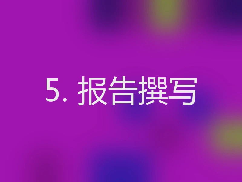 5. 报告撰写